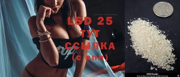 гашик Касимов