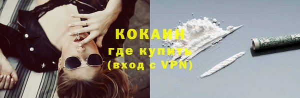 гашик Касимов