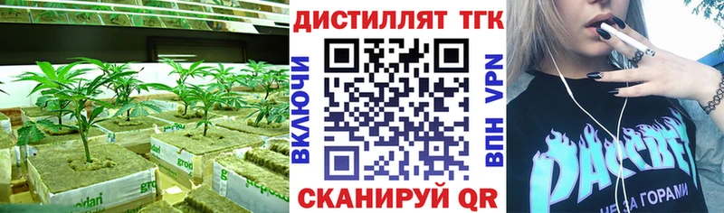Купить закладки  Орлов  Дистиллят ТГК THC oil 